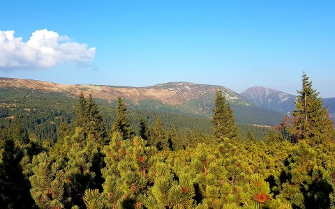 Týden v Pensionu Svoboda 6+1 noc ZDARMA