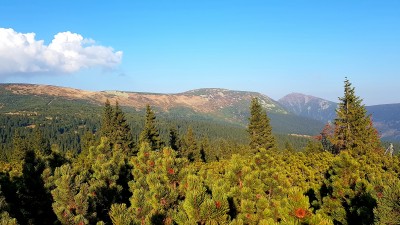 Týden v Pensionu Svoboda 6+1 noc ZDARMA